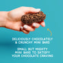 salted caramel chocolate crunch