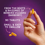 Hand holding a yellow tablet with text about barberry tablets on a purple background